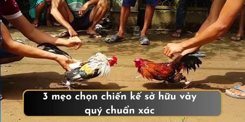 3 mẹo chọn chiến kế sở hữu vảy quý chuẩn xác