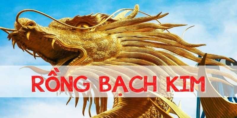 Phương pháp soi cầu rồng bạch kim 99OK hiệu quả theo bạc nhớ