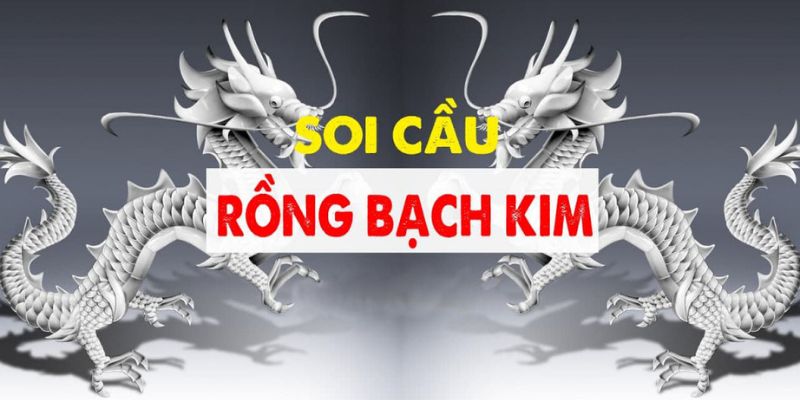 Hướng dẫn soi cầu Rồng Bạch Kim mới nhất 2024