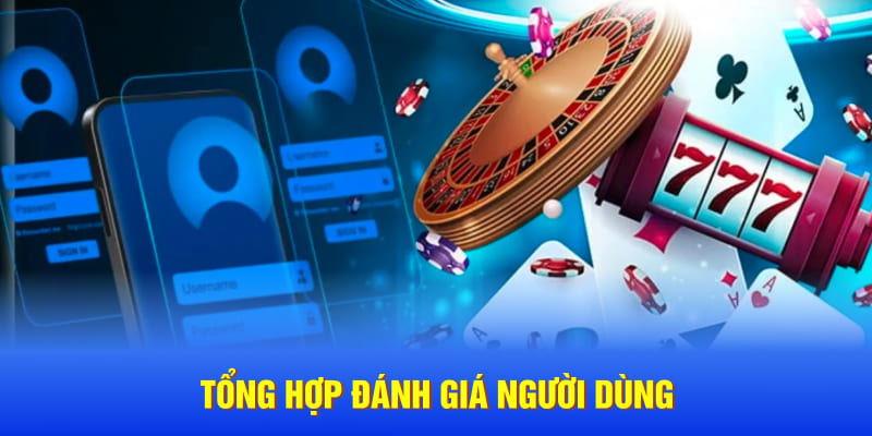 Tổng hợp đánh giá người dùng